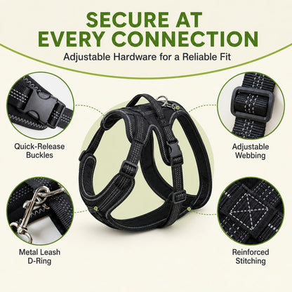 Paws in Awe Dual Rear Leg Dog Support Brace with Harness - Walking Stability for Weak Hind Legs image 7
