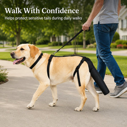Paws in Awe Adjustable Dog Tail Protector for Recovery & Daily Walks - Padded Guard for Sensitive Tails image 2