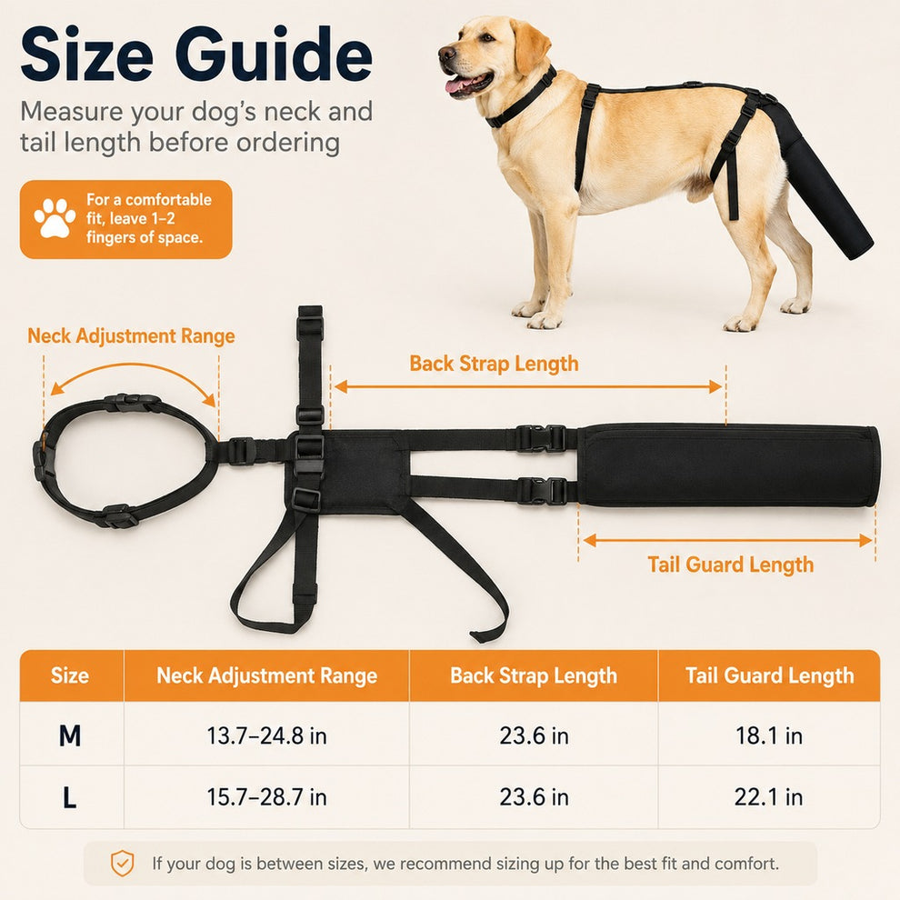 Paws in Awe Adjustable Dog Tail Protector for Recovery & Daily Walks - Padded Guard for Sensitive Tails image 10