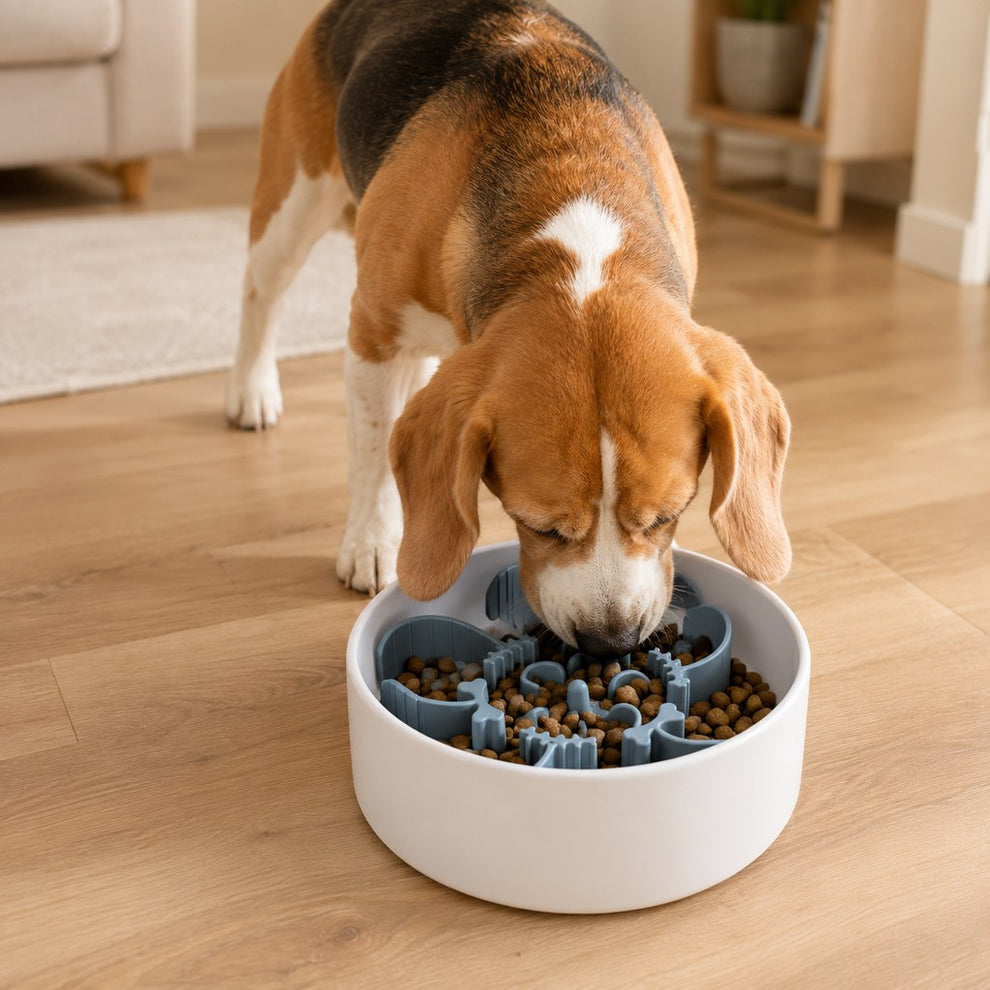 Fishbone Slow Feeder Bowl Insert for Fast-Eating Dogs - Trim-to-Fit Suction Insert or Stainless Steel Bowl Set image 2