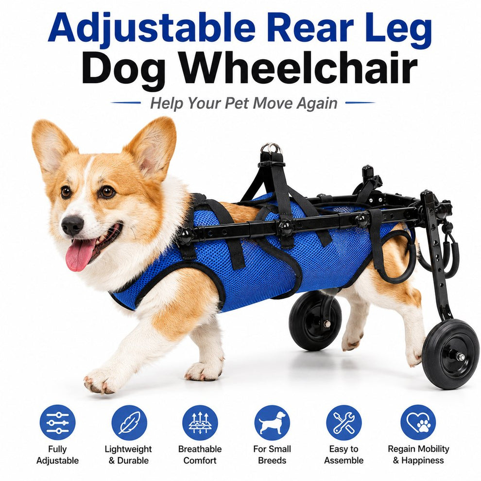 Paws in Awe Adjustable Rear Leg Dog Wheelchair for Daily Walks - Mobility Support Cart for Small Dogs with Weak Back Legs image 3