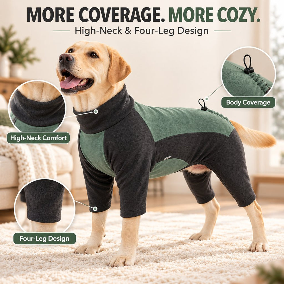 high-neck and four-leg coverage on sage green dog pajamas