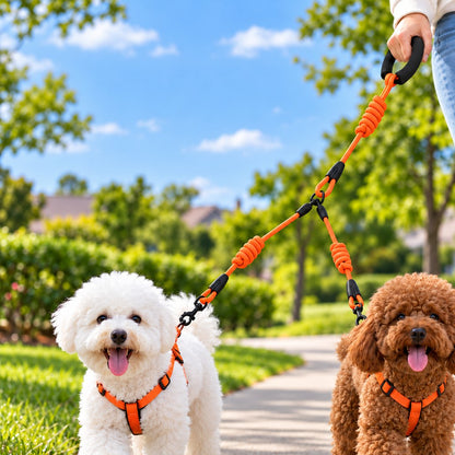 Paws in Awe Dual Dog Leash with Shock-Absorbing Bungee & Padded Handle for Easier Two-Dog Walks image 9