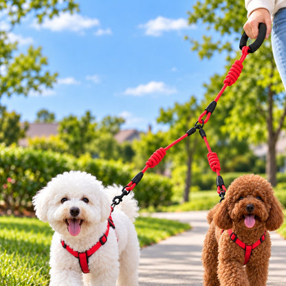 Paws in Awe Dual Dog Leash with Shock-Absorbing Bungee & Padded Handle for Easier Two-Dog Walks image 8