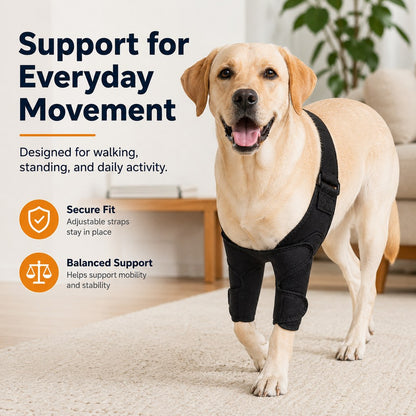 Paws in Awe Dual Front Leg Dog Support Brace for Walking & Rest - Adjustable Elbow Protection for Friction & Joint Support image 1
