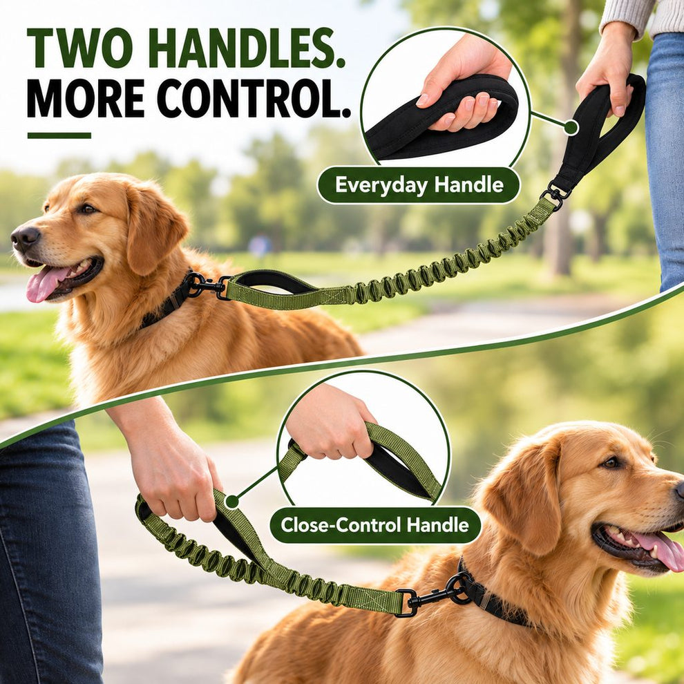Dual handle bungee dog leash with everyday and close-control handles