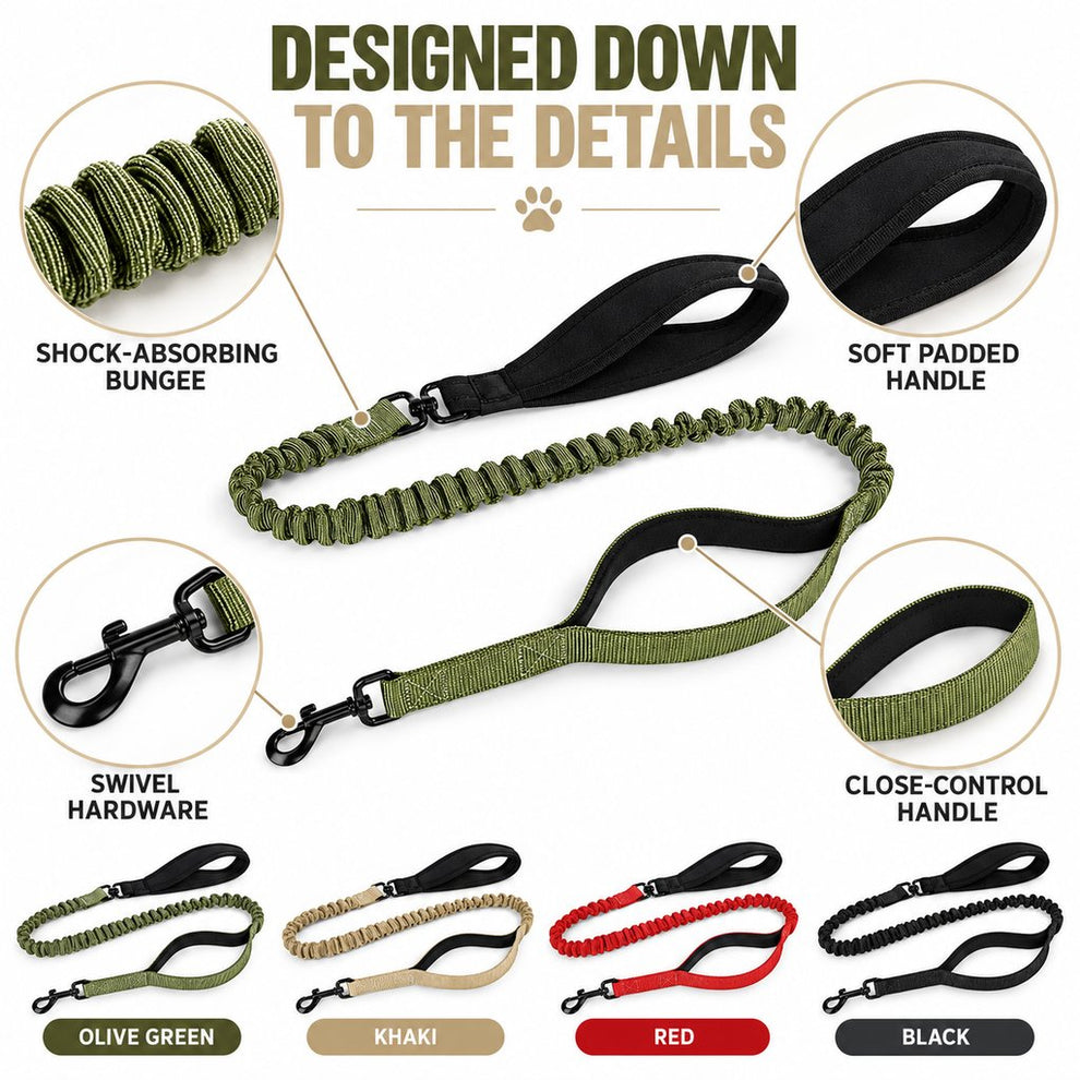 Dual handle bungee dog leash details and four available colors