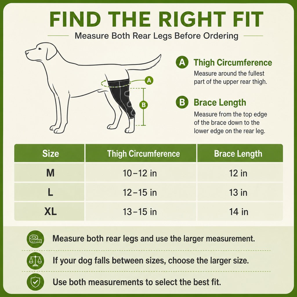 Paws in Awe Dual Rear Leg Dog Support Brace with Harness - Walking Stability for Weak Hind Legs image 9