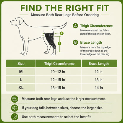Paws in Awe Dual Rear Leg Dog Support Brace with Harness - Walking Stability for Weak Hind Legs image 9