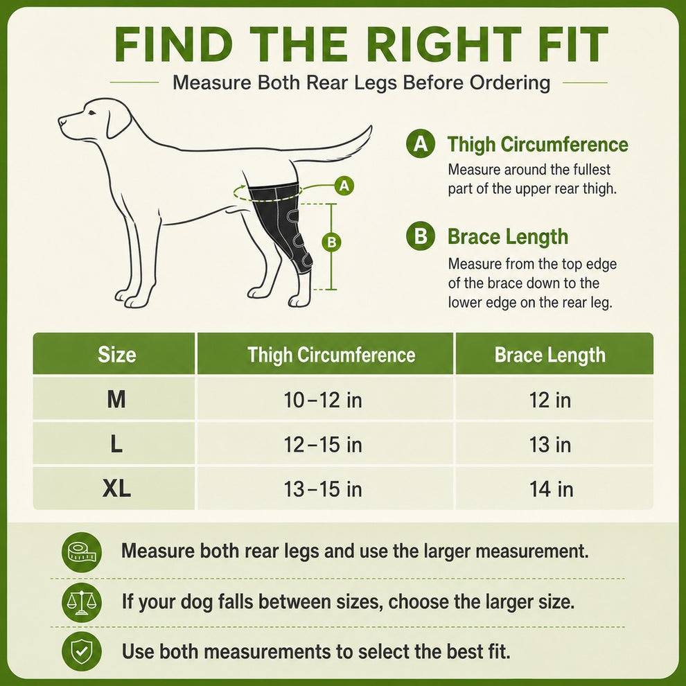 Paws in Awe Dual Rear Leg Dog Support Brace with Harness - Walking Stability for Weak Hind Legs image 10