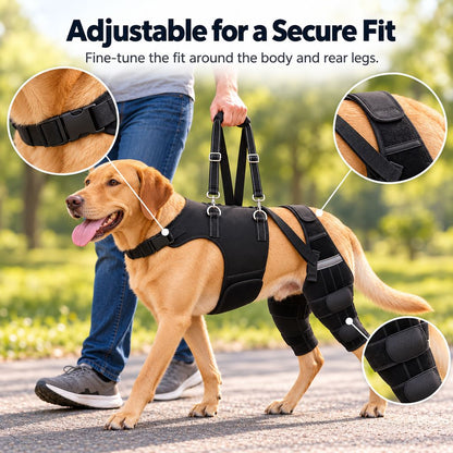adjustable dual rear leg knee brace secure fit details