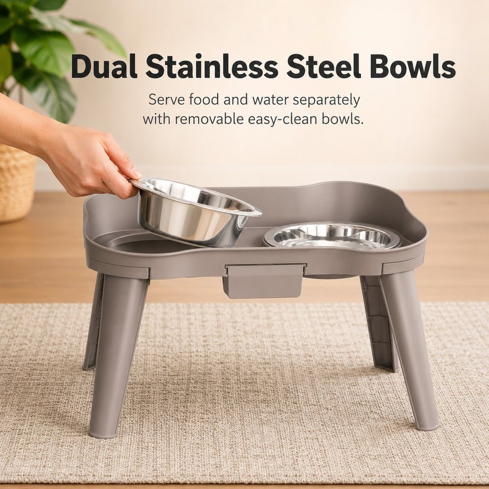 Paws in Awe Elevated Pet Feeder with Spill Guard for Cats & Dogs - Raised Dual Stainless Steel Bowls for Cleaner Floors image 2