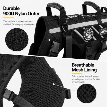 Outdoor dog harness and bungee leash set for walking and hiking