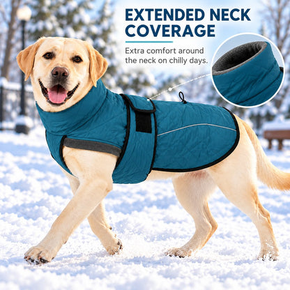 teal blue winter dog coat with extended neck coverage