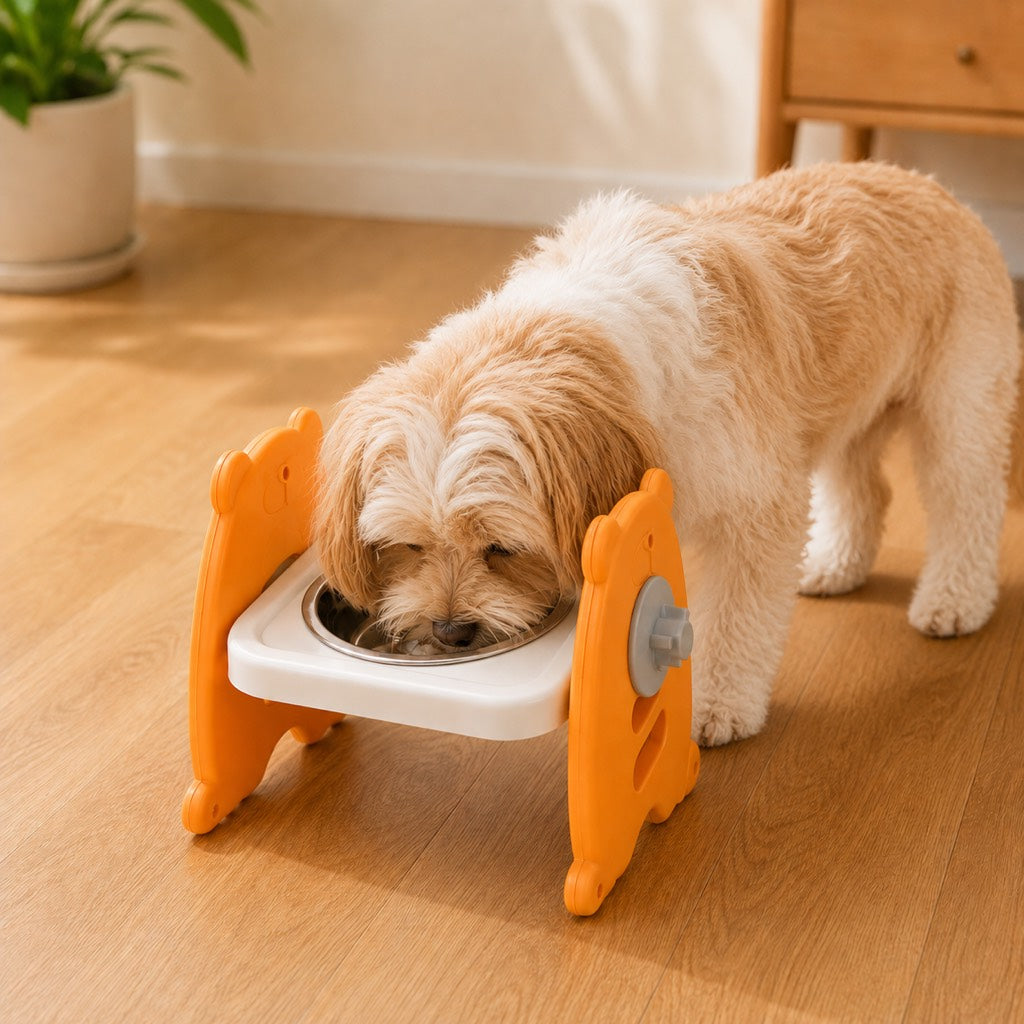 Easy clean removable pet bowl set