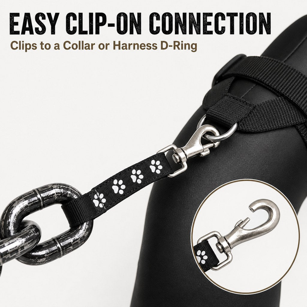Easy clip-on dog leash and collar connection