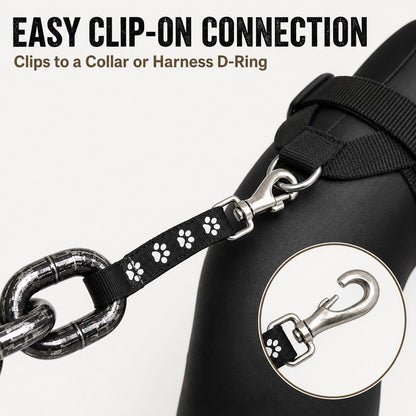 Easy clip-on dog leash and collar connection