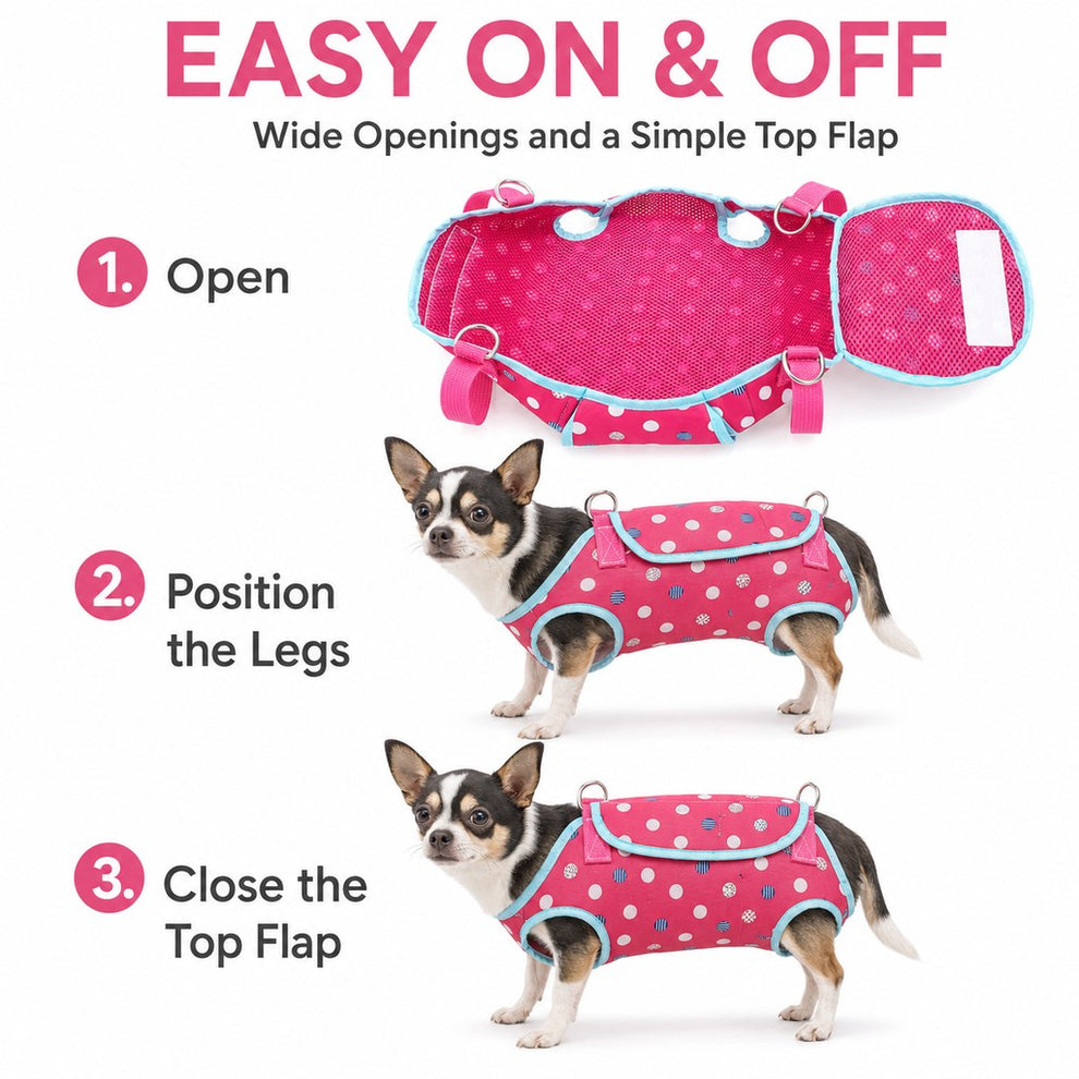Easy on and off wearable pet carrier leg openings and top flap