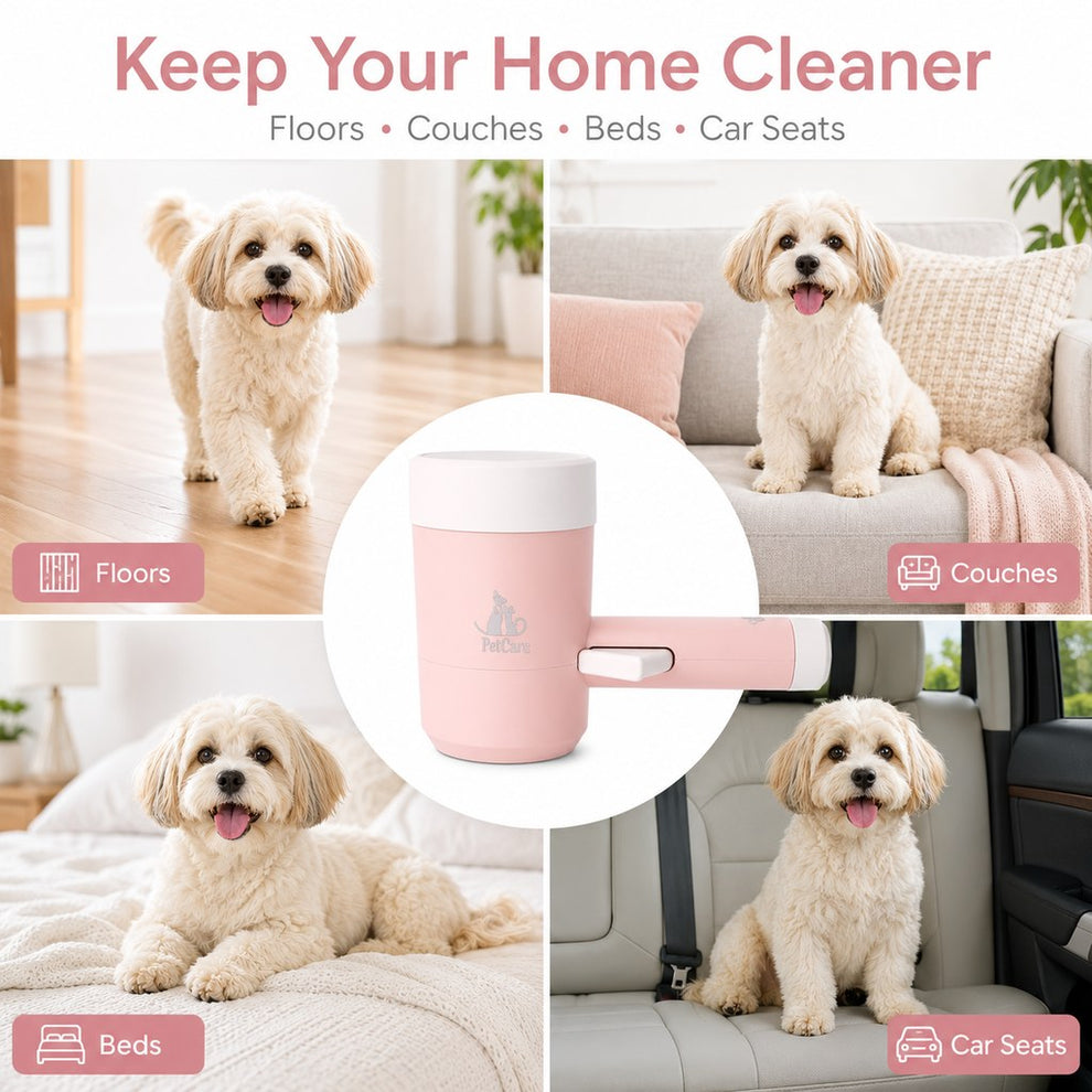 Paws in Awe Electric Dog Paw Cleaner Cup for Muddy Walks - One-Button Paw Washer Helps Keep Floors, Couches & Car Seats Clean image 7
