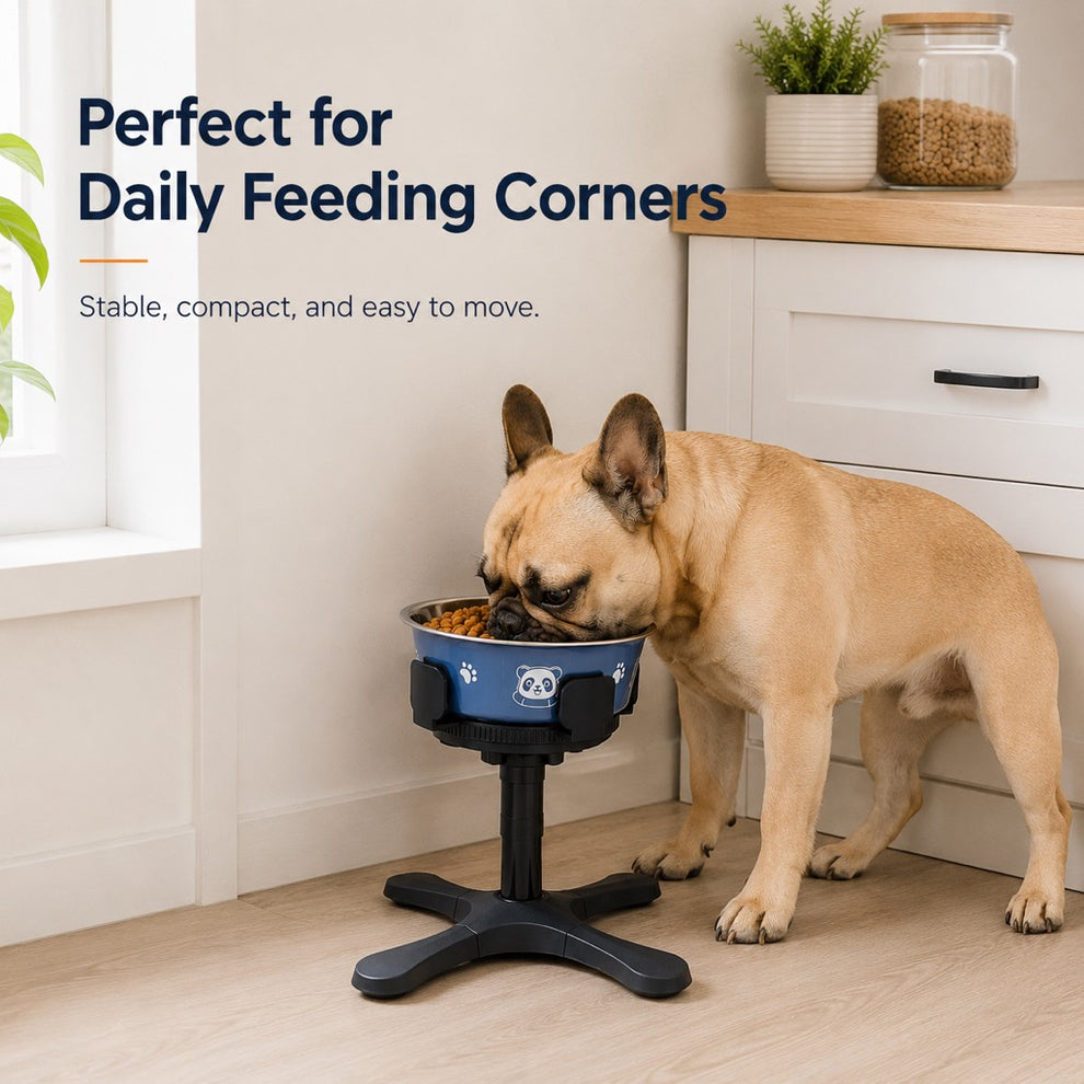 Elevated dog bowl for French Bulldogs and flat faced dogs