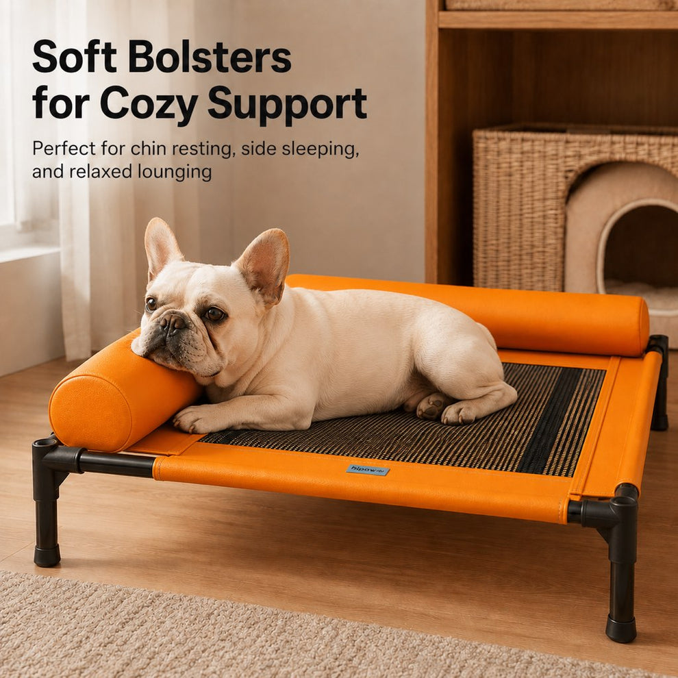 Elevated dog cot with soft bolsters for chin resting