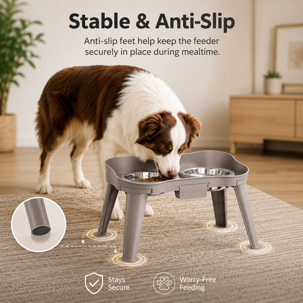 Paws in Awe Elevated Pet Feeder with Spill Guard for Cats & Dogs - Raised Dual Stainless Steel Bowls for Cleaner Floors image 4