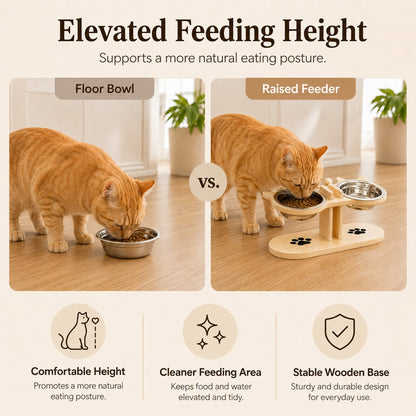 Cat eating from an elevated wooden feeding station