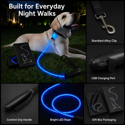 Everyday night walk LED dog leash details