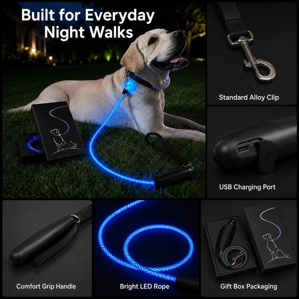 Everyday night walk LED dog leash details