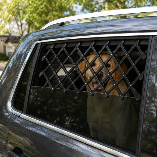 Expandable dog car window guard installed on rear side window
