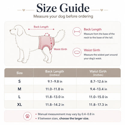 Paws in Awe Washable Female Dog Heat Pants for Home & Furniture Protection - Adjustable Sanitary Diaper with Shoulder Straps image 8