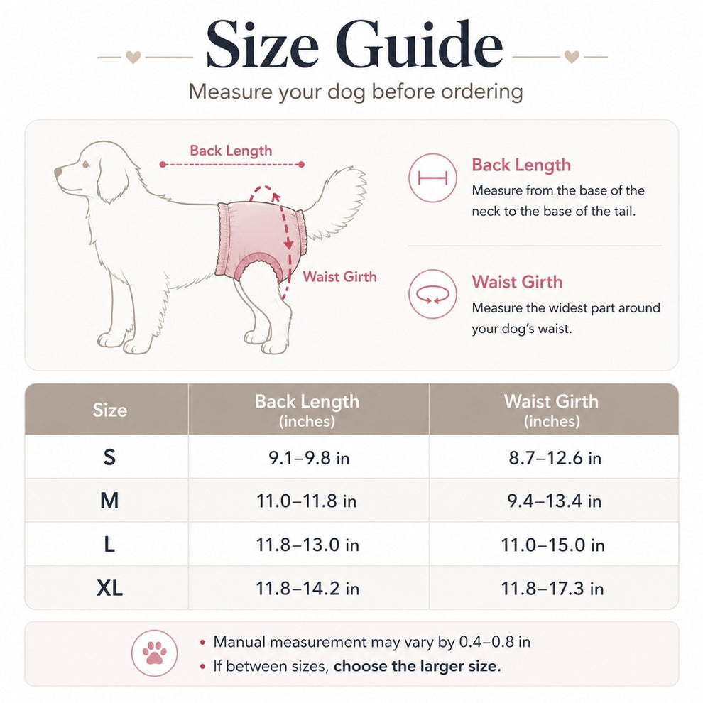Paws in Awe Washable Female Dog Heat Pants for Home & Furniture Protection - Adjustable Sanitary Diaper with Shoulder Straps image 8