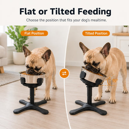 Flat and tilted feeding positions for French Bulldog bowl