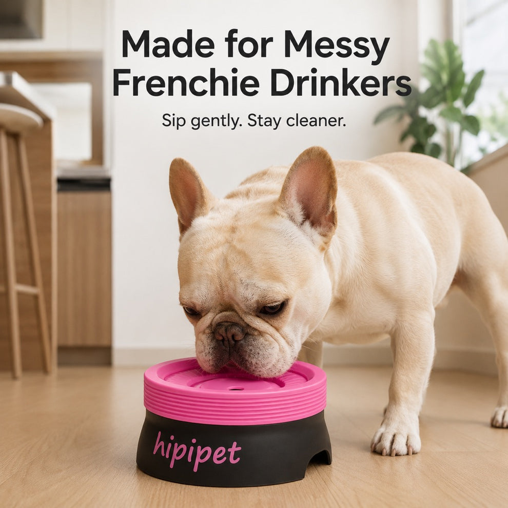 Floating disk dog water bowl controls water flow