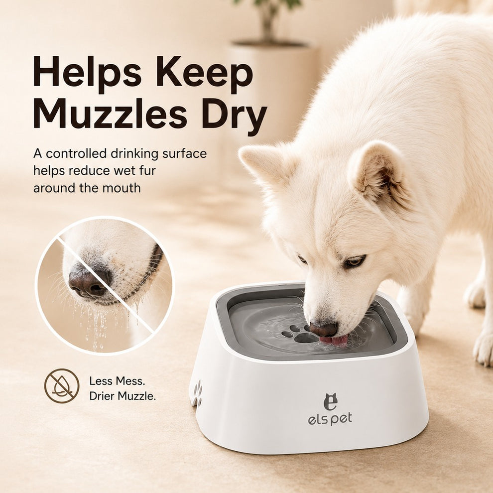 Paws in Awe Floating Pet Water Bowl for Home & Car - Less Splash, Cleaner Floors image 5