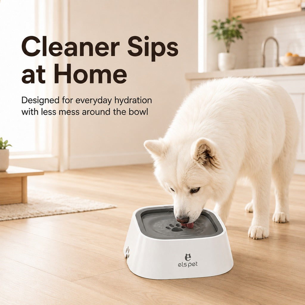 Paws in Awe Floating Pet Water Bowl for Home & Car - Less Splash, Cleaner Floors image 3