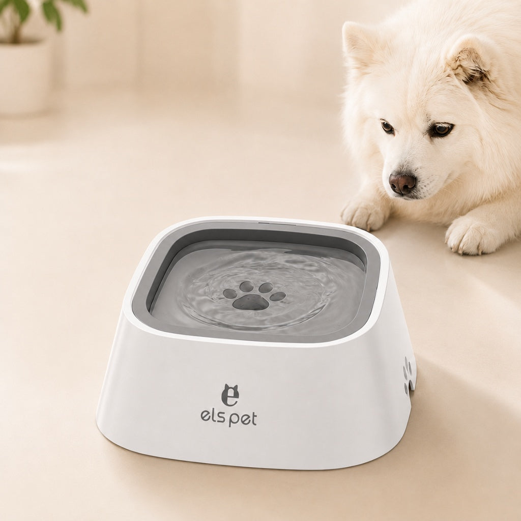 Paws in Awe Floating Pet Water Bowl for Home & Car - Less Splash, Cleaner Floors image 1
