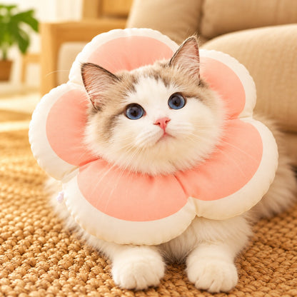 Pink soft flower recovery collar on a cat