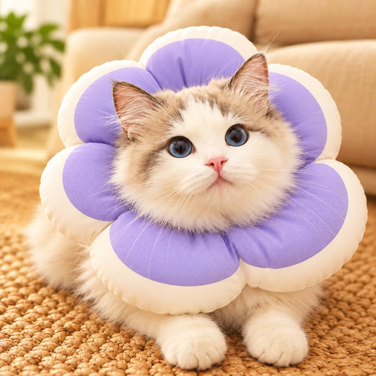 Purple soft flower recovery collar on a cat