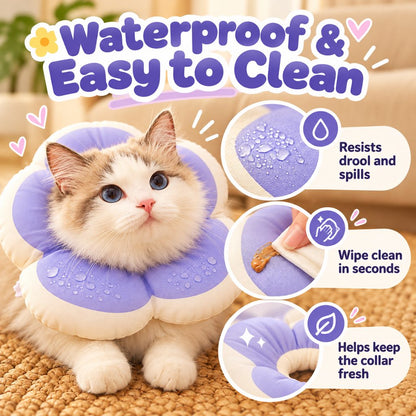 Water-resistant surface and wipe-clean care for a purple flower recovery collar