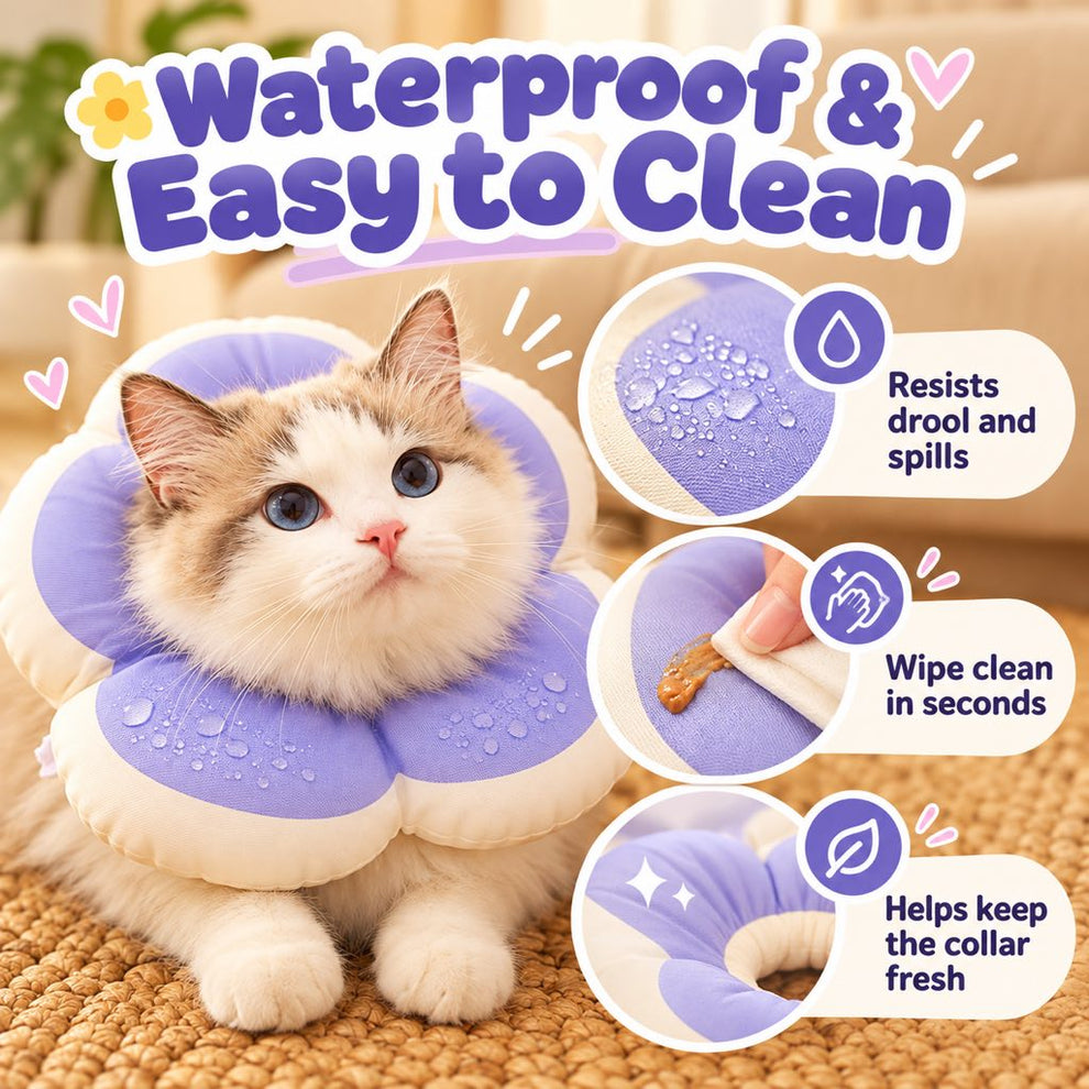 Water-resistant surface and wipe-clean care for a purple flower recovery collar
