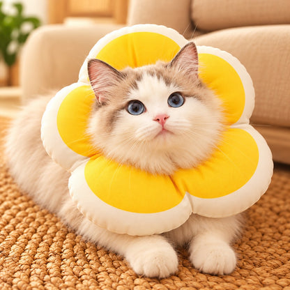 Yellow soft flower recovery collar on a cat