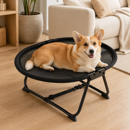 Foldable elevated pet cot with black breathable mesh cover