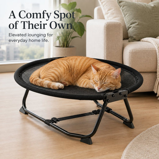 Cat lounging on foldable elevated pet cot