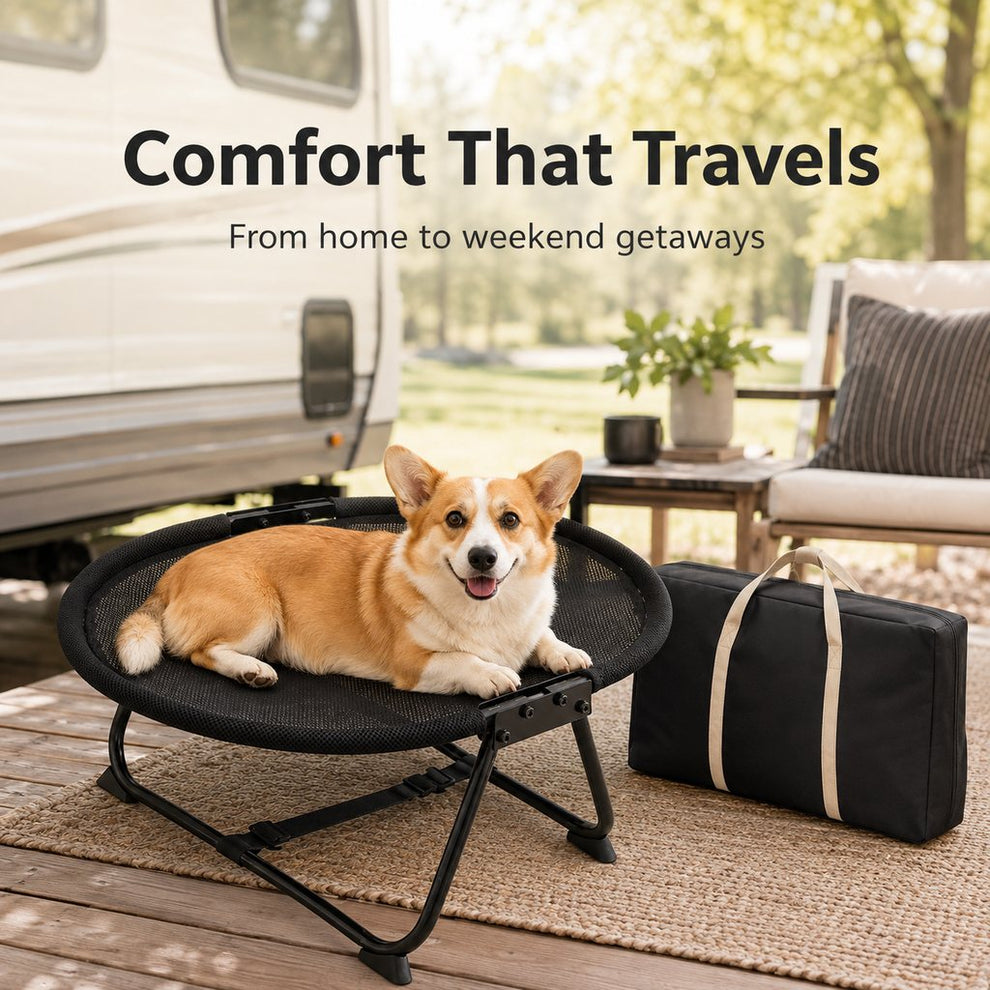 Foldable elevated pet cot with carry bag for travel
