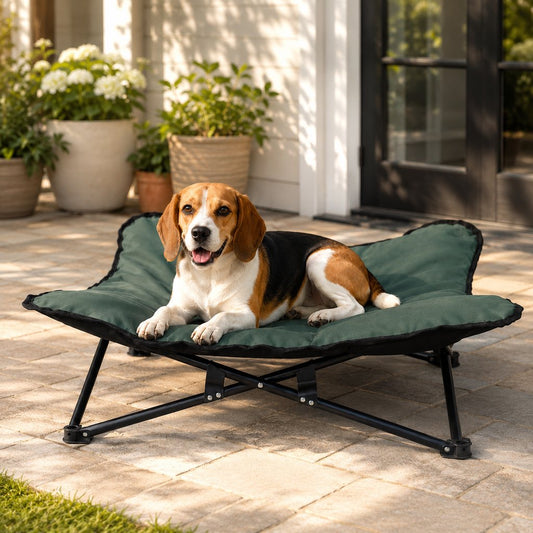 Green portable folding elevated pet bed for dogs on patio