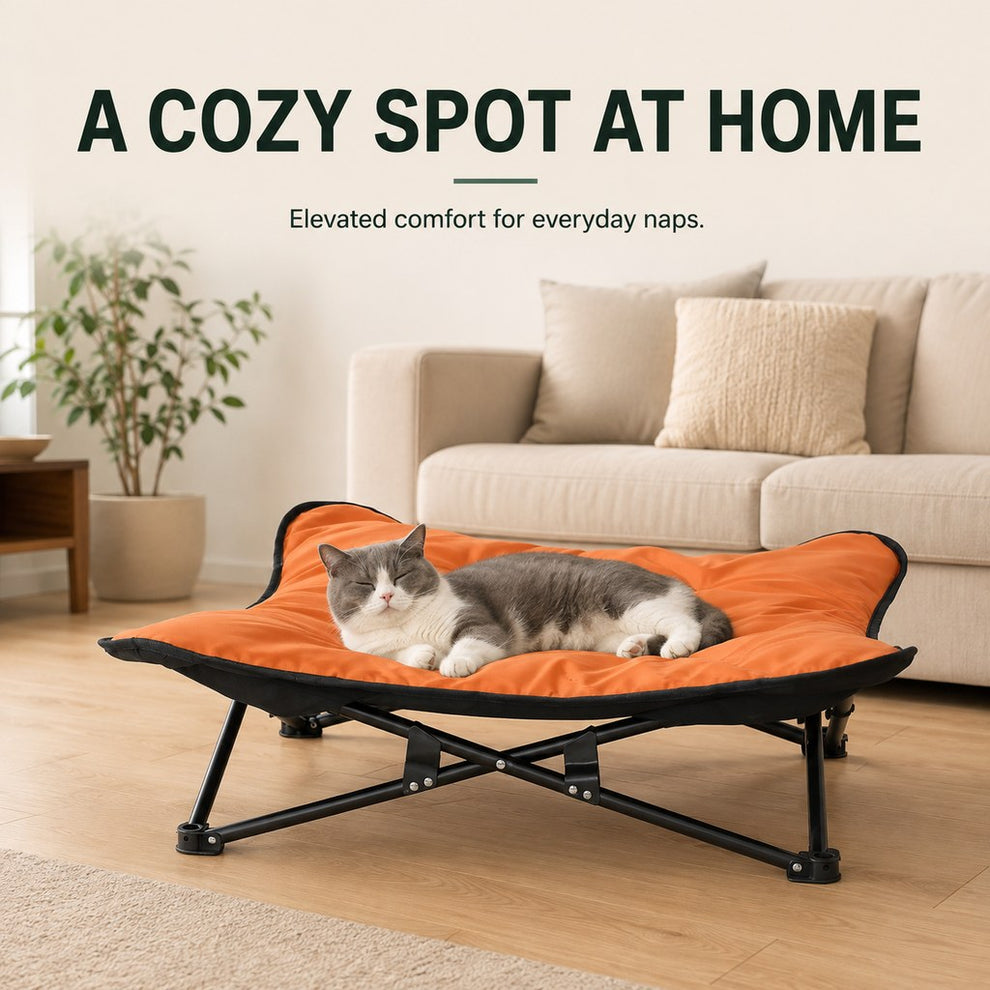 Orange portable folding elevated pet cot at home with cat