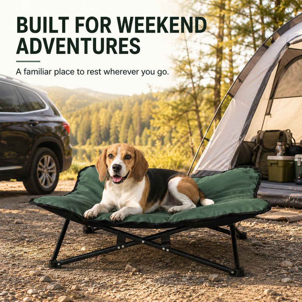 Portable elevated dog bed for camping and weekend adventures