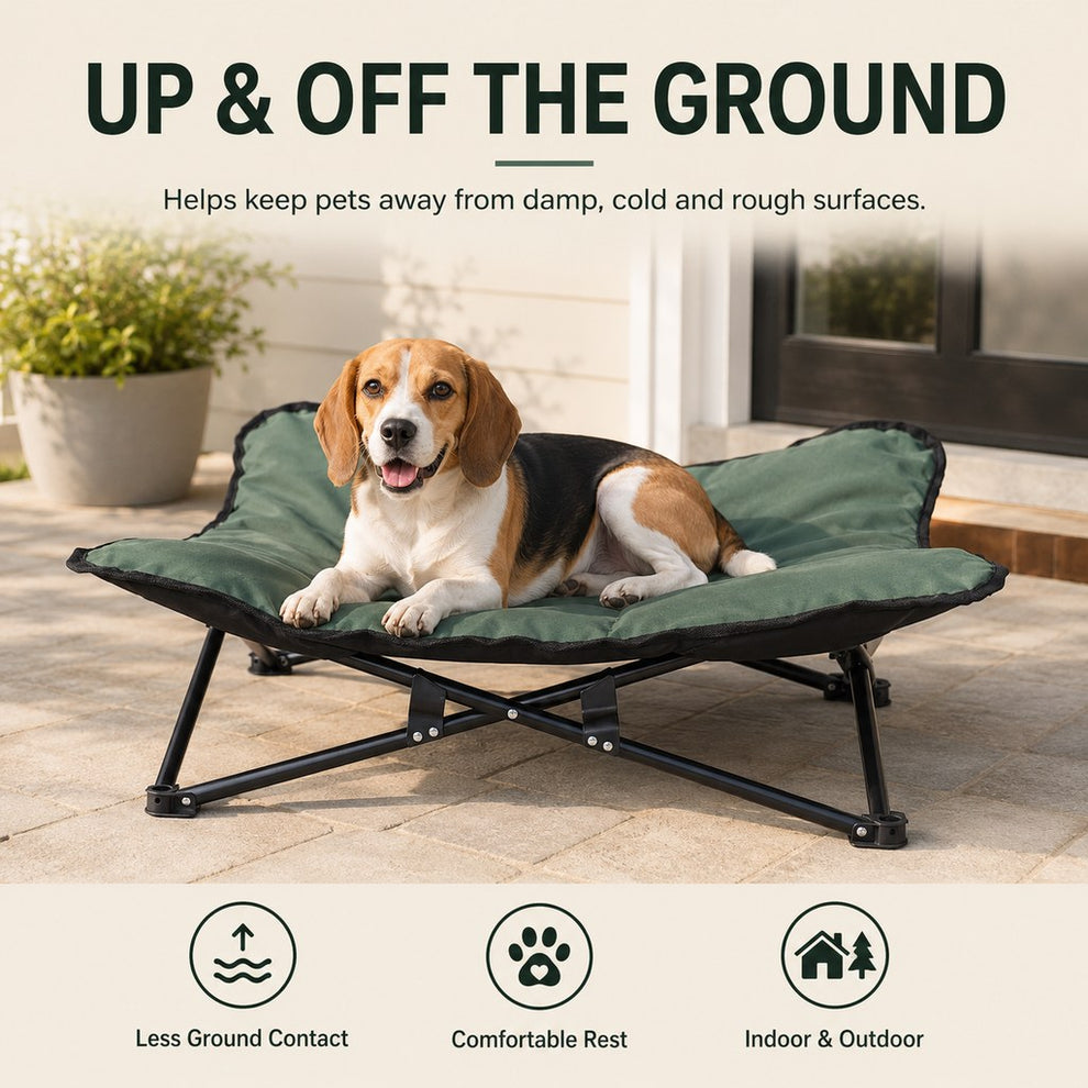 Green elevated pet cot keeps dogs off cold damp and hard ground