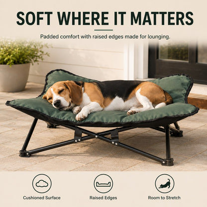 Padded raised pet cot with soft lounge surface and raised edges